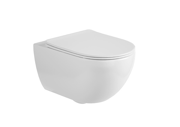 Wall-hung Toilet